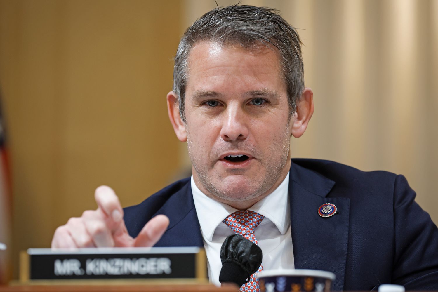 RINO Kinzinger