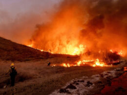 Arson
